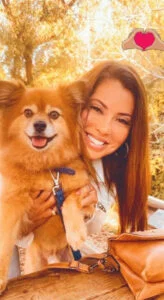 Professional pet grooming team members working with dogs at mobile grooming station