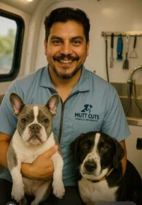 Professional pet grooming team members washing and styling dogs at mobile grooming station
