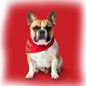 Professional mobile pet grooming van providing dog grooming services in Bakersfield